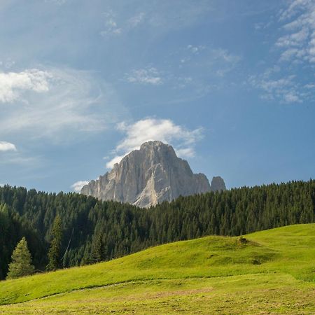 Villa Insam Selva di Val Gardena Bagian luar foto
