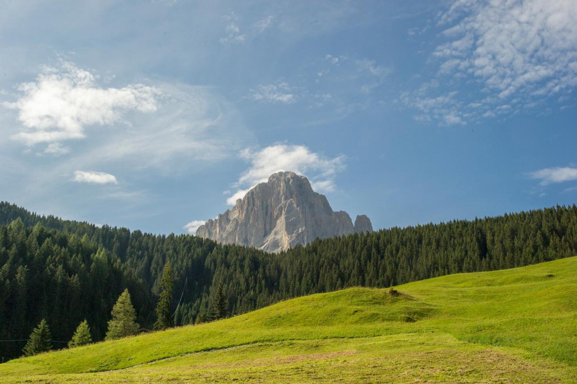 Villa Insam Selva di Val Gardena Bagian luar foto